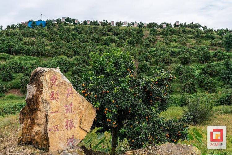 温岭是怎样的一个城市，太康县水果种植基地。 温岭是怎样的一个城市，太康县水果种植基地。 家禽养殖