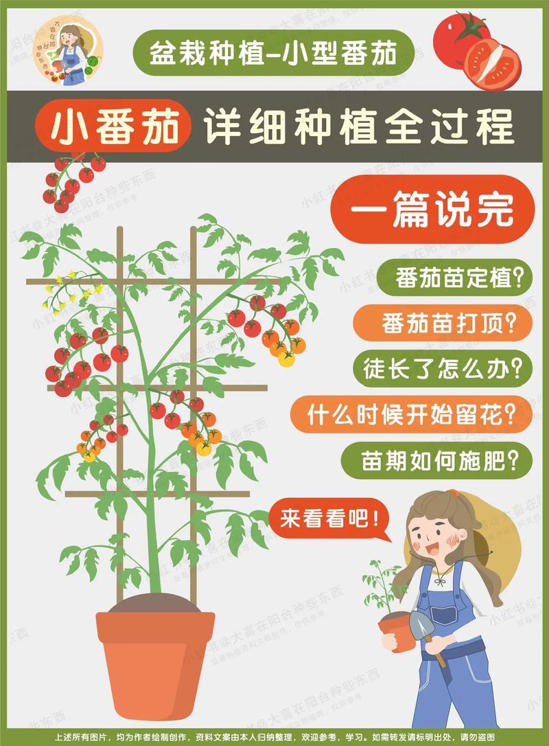 如何在阳台上种植盆栽圣女果吗？盆栽圣女果有哪些方法和技巧吗，鲜花水果阳台种植方法视频。 如何在阳台上种植盆栽圣女果吗？盆栽圣女果有哪些方法和技巧吗，鲜花水果阳台种植方法视频。 畜牧养殖