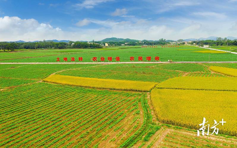 承包了一千亩地，每亩的价格是1200元，这个价格贵了吗，占用耕田土地种植水果违法吗。 承包了一千亩地，每亩的价格是1200元，这个价格贵了吗，占用耕田土地种植水果违法吗。 畜牧养殖