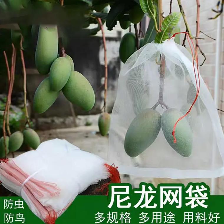 种植水果套袋有什么好处？用什么材料的袋子来套袋最好，水果种植套袋好处是什么。 种植水果套袋有什么好处？用什么材料的袋子来套袋最好，水果种植套袋好处是什么。 畜牧养殖