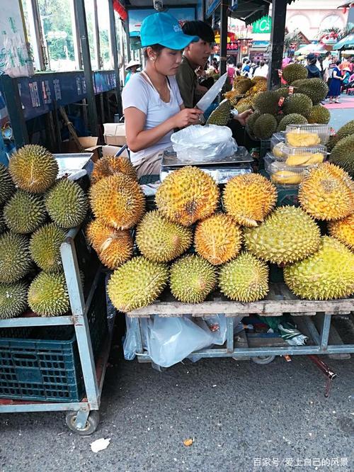 大家好，我是在东兴做越南水果、零食生意的，你觉得什么比较好卖，东兴罕见水果种植基地在哪里。 大家好，我是在东兴做越南水果、零食生意的，你觉得什么比较好卖，东兴罕见水果种植基地在哪里。 畜牧养殖