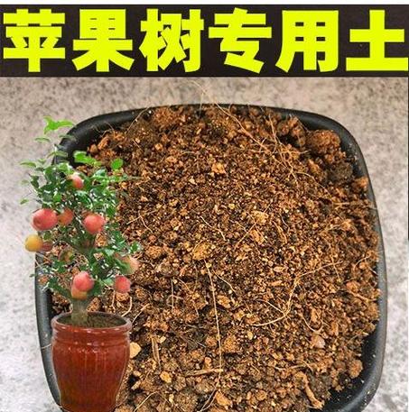 栽苹果树时采用什么株距最合适，水果苹果栽培种植方法。 栽苹果树时采用什么株距最合适，水果苹果栽培种植方法。 家禽养殖