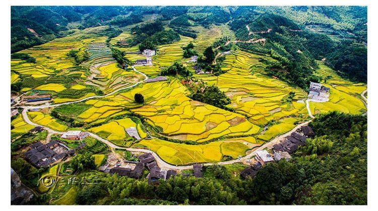 龙岩有什么低调的景色吗，龙岩莲塘水果种植基地在哪里。 龙岩有什么低调的景色吗，龙岩莲塘水果种植基地在哪里。 家禽养殖