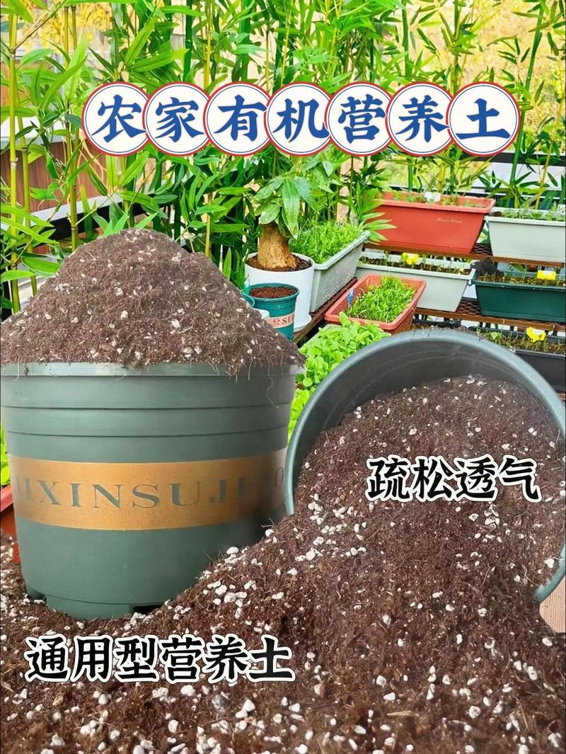 怎么用水果皮做种花肥料，水果种植专用土是什么土。 怎么用水果皮做种花肥料，水果种植专用土是什么土。 水果种植