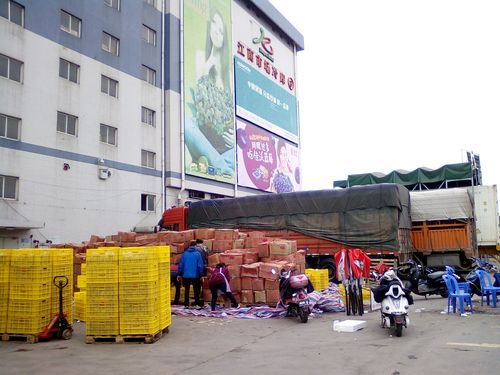 东莞哪里有蔬菜批发市场和水果批发市场，塘厦种植水果基地。 东莞哪里有蔬菜批发市场和水果批发市场，塘厦种植水果基地。 土壤施肥