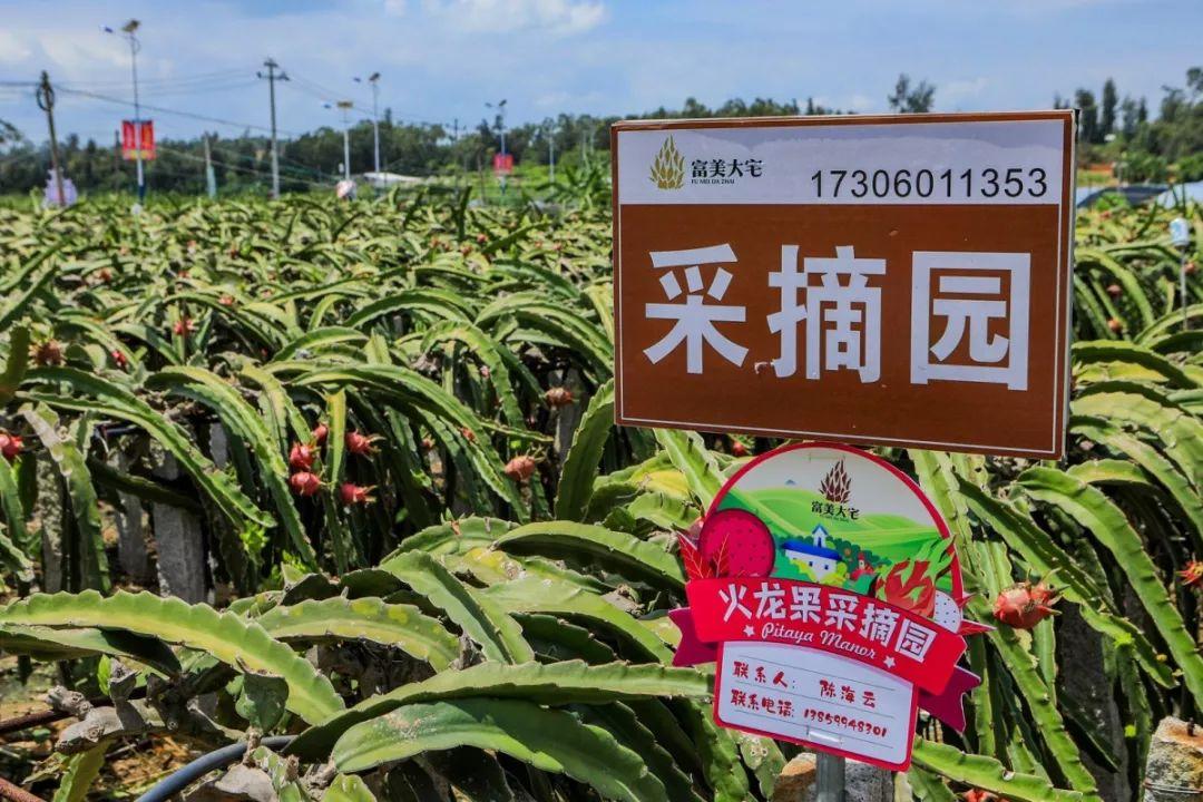 翔安有什么地方好玩，厦门翔安水果种植基地。 翔安有什么地方好玩，厦门翔安水果种植基地。 土壤施肥