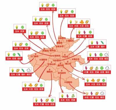 河南省豫北地区农作物（粮蔬果）种植时令，河南水果种植地图高清。 河南省豫北地区农作物（粮蔬果）种植时令，河南水果种植地图高清。 畜牧养殖