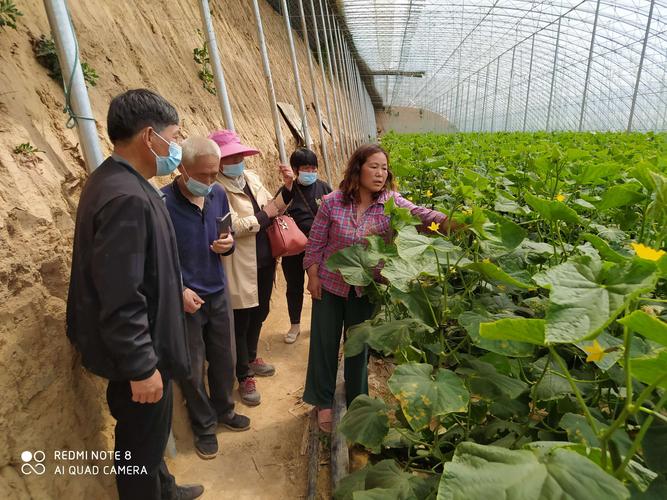 果蔬农业种植专业合作社经营范围，水果农业种植技术培训班。 果蔬农业种植专业合作社经营范围，水果农业种植技术培训班。 家禽养殖