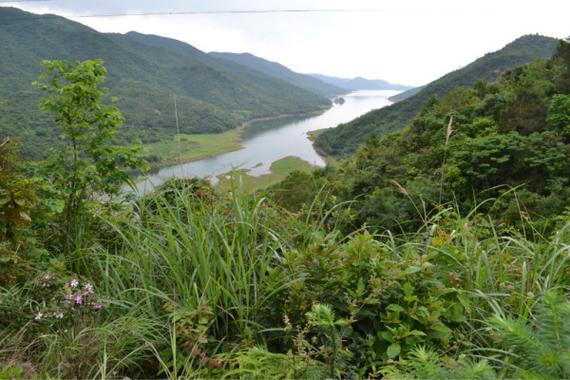 你知道茂名罗坑有什么好玩的地方么，甘泉水果种植技术视频。 你知道茂名罗坑有什么好玩的地方么，甘泉水果种植技术视频。 土壤施肥