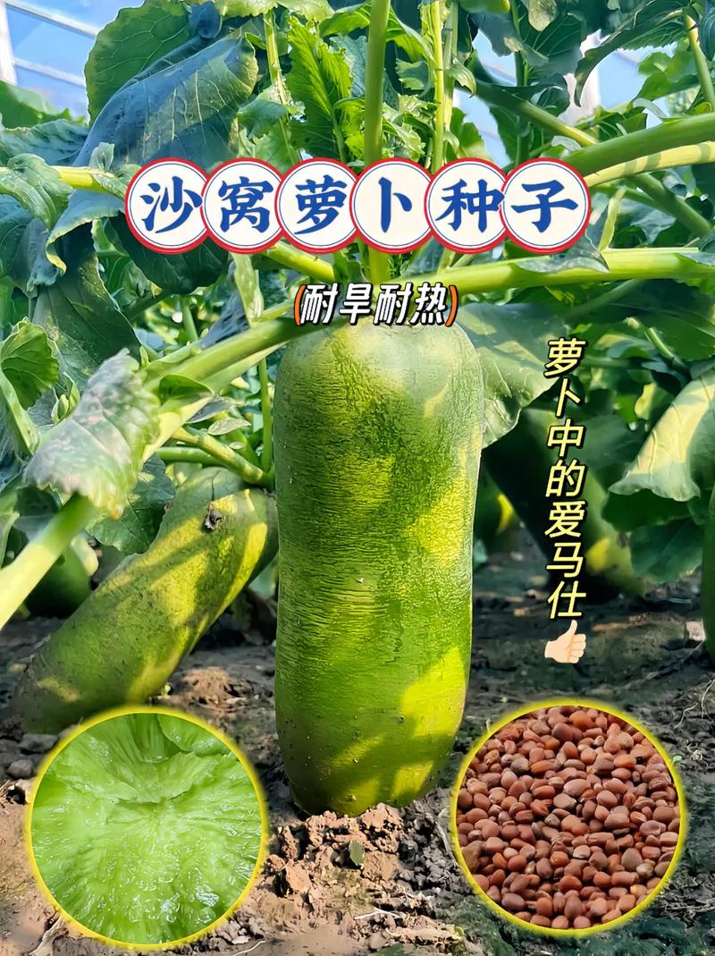 浙江适合种植什么水果，浙江水果种植技术指南。 浙江适合种植什么水果，浙江水果种植技术指南。 蔬菜种植