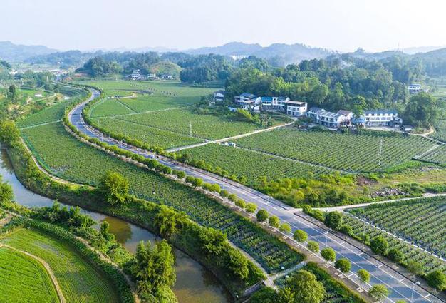 重庆地区适合种植什么水果，重庆水果种植基地有哪些。 重庆地区适合种植什么水果，重庆水果种植基地有哪些。 蔬菜种植