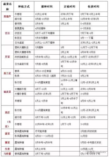 云南大棚十月种啥菜，云南大棚水果种植时间表。 云南大棚十月种啥菜，云南大棚水果种植时间表。 水果种植