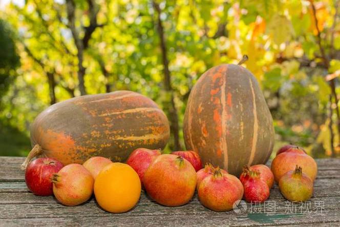 湛江有树菠萝、菠萝、荔枝、龙眼、火龙果和其他形形色色的水果，你们都吃过哪些，湛江地区冬季水果种植时间。 湛江有树菠萝、菠萝、荔枝、龙眼、火龙果和其他形形色色的水果，你们都吃过哪些，湛江地区冬季水果种植时间。 畜牧养殖