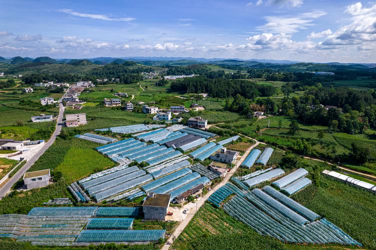 贵阳产哪些水果，贵州山野水果种植基地在哪里。 贵阳产哪些水果，贵州山野水果种植基地在哪里。 家禽养殖