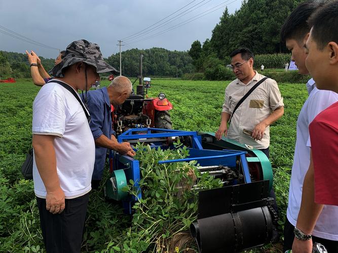 种植药材还有水果怎么样？现在农业这方面的生意好做吗，种植各种药材和水果的区别。 种植药材还有水果怎么样？现在农业这方面的生意好做吗，种植各种药材和水果的区别。 畜牧养殖