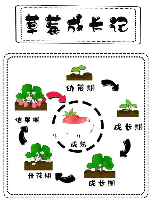 水果种子的种植方法，水果发芽种植教程图片大全。 水果种子的种植方法，水果发芽种植教程图片大全。 家禽养殖