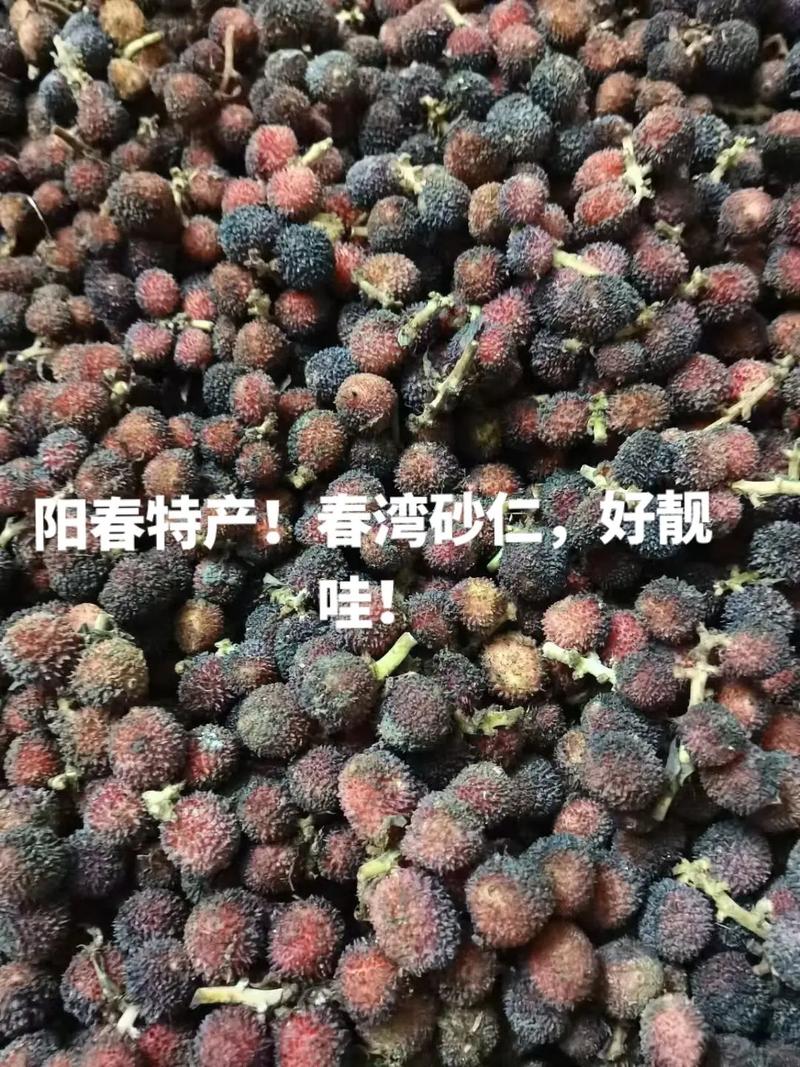 阳春特产排行榜前十名，春湾种植水果基地。 阳春特产排行榜前十名，春湾种植水果基地。 家禽养殖