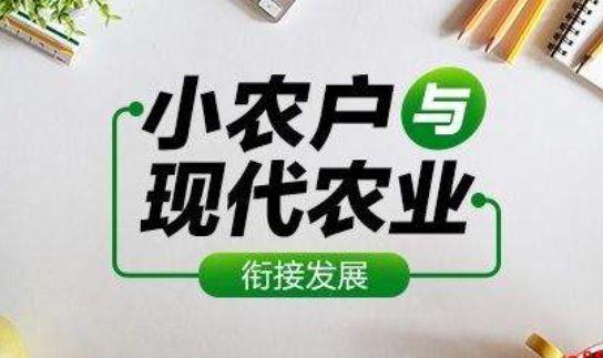 你所在地区扶持小农户发展现代农业有什么具体举措?谈谈你的看法，水果种植带动农户情况怎么写。 你所在地区扶持小农户发展现代农业有什么具体举措?谈谈你的看法，水果种植带动农户情况怎么写。 水果种植