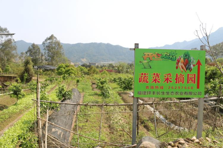 福州哪里有自助摘水果的，福建福州水果种植基地在哪。 福州哪里有自助摘水果的，福建福州水果种植基地在哪。 土壤施肥