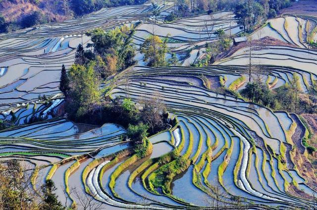 做休闲农业和乡村旅游，为什么大家会看重设施用地，毛家村水果种植面积多少亩。 做休闲农业和乡村旅游，为什么大家会看重设施用地，毛家村水果种植面积多少亩。 畜牧养殖