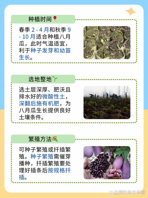 种植什么水果最省心，什么水果好种植时间短呢。 种植什么水果最省心，什么水果好种植时间短呢。 畜牧养殖