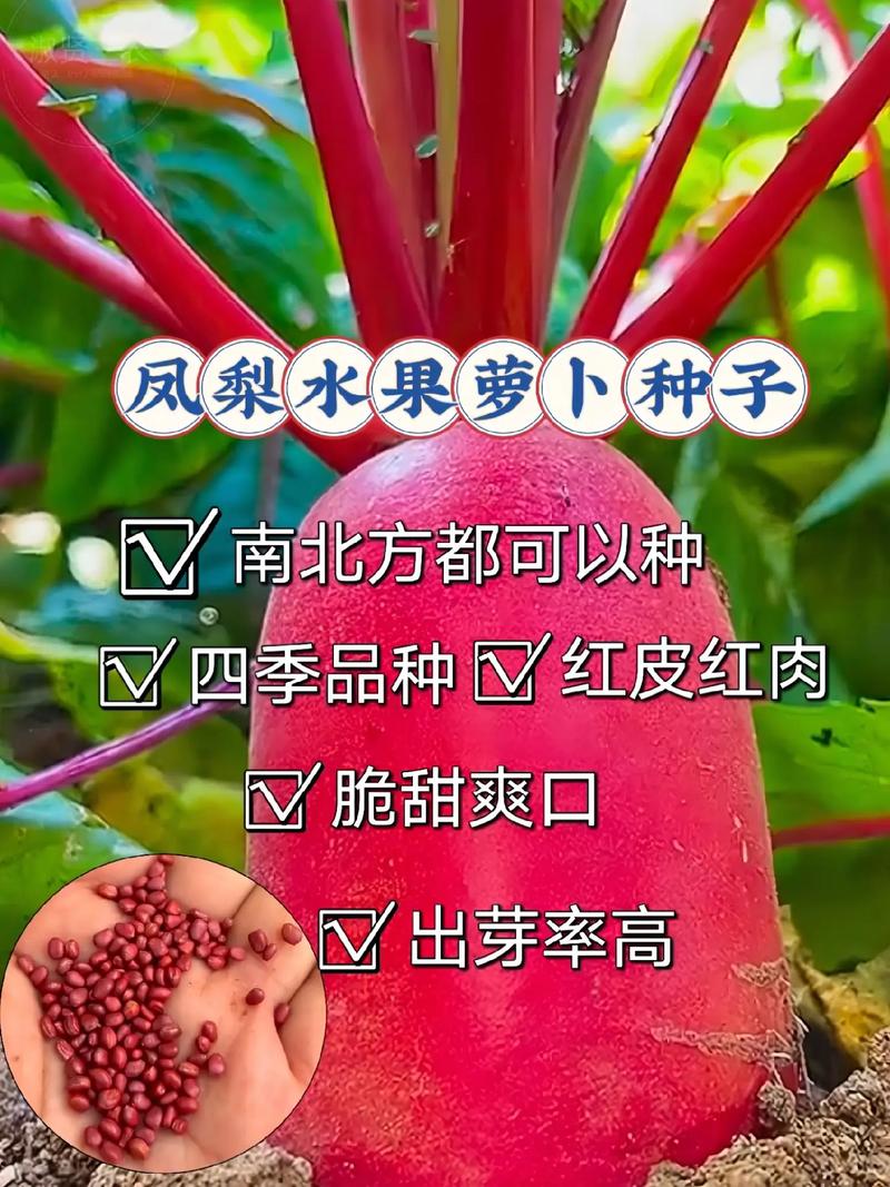 为什么沙壤土种出的水果好吃，水果种植土壤选择什么肥料。 为什么沙壤土种出的水果好吃，水果种植土壤选择什么肥料。 水果种植