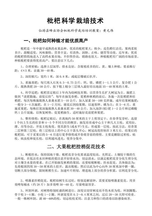 枇杷的种植技术有哪些，枇杷南方水果种植技术与管理。 枇杷的种植技术有哪些，枇杷南方水果种植技术与管理。 蔬菜种植