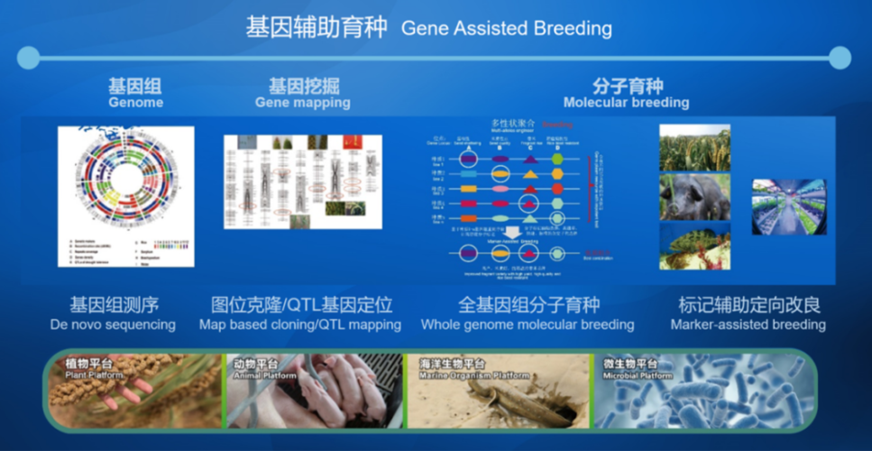 未来农业的发展会达到编辑分子来制作果蔬的程度吗，科果水果公司总部地址。 未来农业的发展会达到编辑分子来制作果蔬的程度吗，科果水果公司总部地址。 土壤施肥