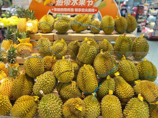 榴莲自助盒马哪个城市有，杭州榴莲水果种植基地在哪里。 榴莲自助盒马哪个城市有，杭州榴莲水果种植基地在哪里。 土壤施肥