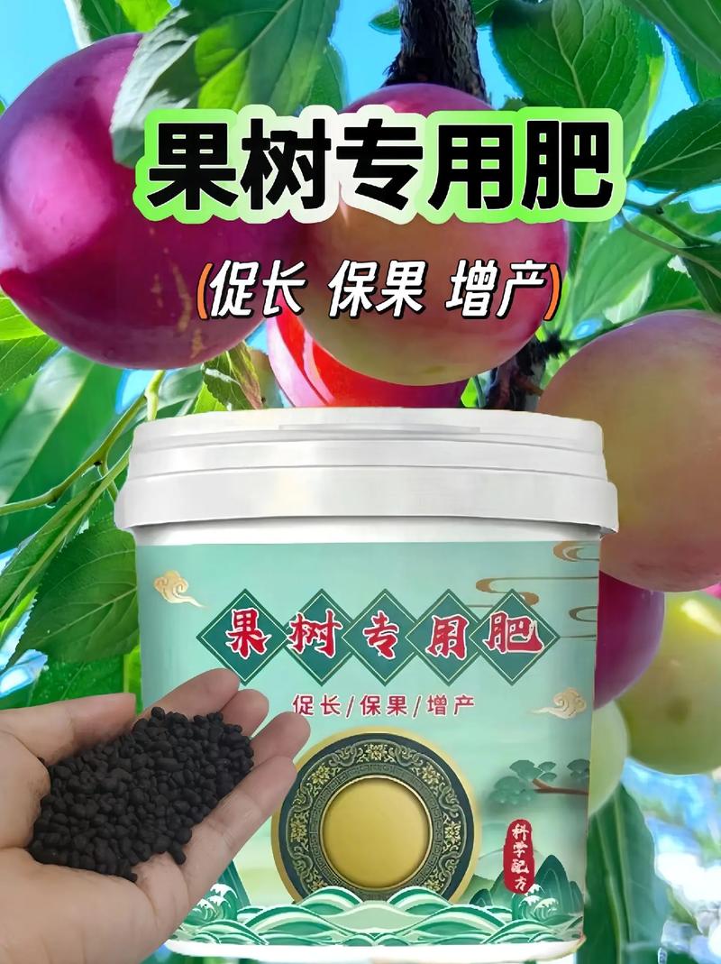 水果树在什么时候施肥为最佳？什么肥料实惠又可靠，种植水果使用肥料有哪些。 水果树在什么时候施肥为最佳？什么肥料实惠又可靠，种植水果使用肥料有哪些。 水果种植