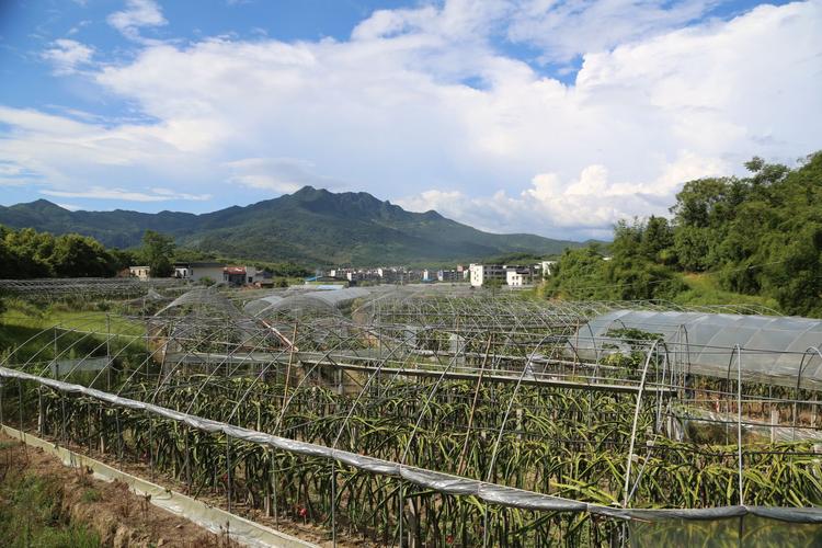 百丈关意义，蒲江大兴水果种植基地在哪里。 百丈关意义，蒲江大兴水果种植基地在哪里。 土壤施肥