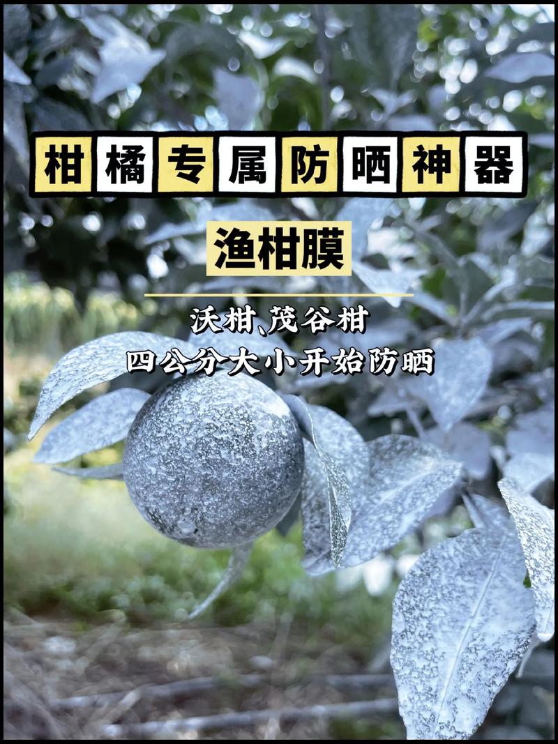 什么水果可以防晒，种植水果防晒用什么。 什么水果可以防晒，种植水果防晒用什么。 土壤施肥