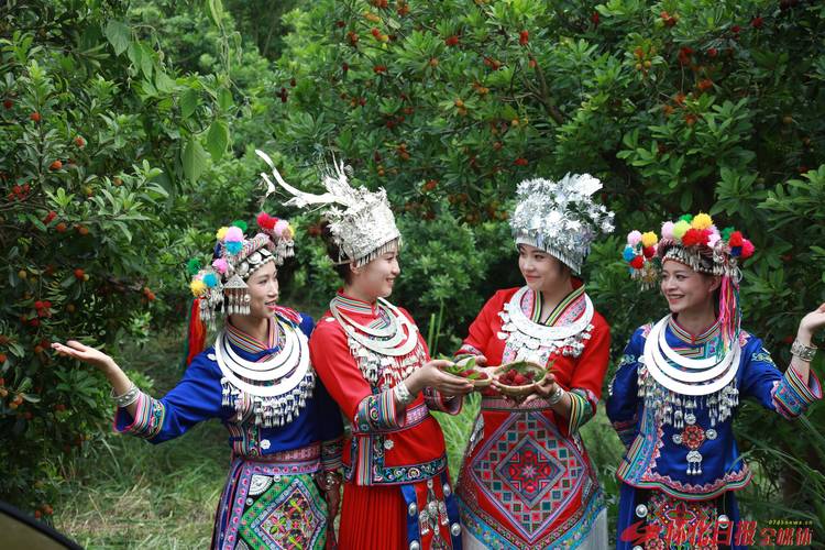 南岳哪个地方有杨梅，侗族水果种植基地简介图片。 南岳哪个地方有杨梅，侗族水果种植基地简介图片。 家禽养殖