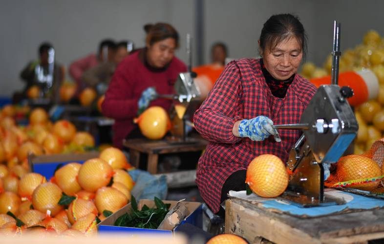 农民怎么才能在耕地上种水果，农民水果种植专业合作社年终会议记录范文。 农民怎么才能在耕地上种水果，农民水果种植专业合作社年终会议记录范文。 水果种植