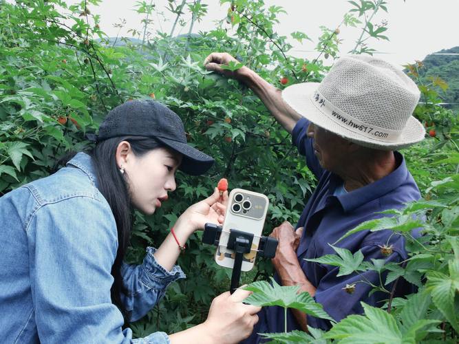 想直播带货水果，别人是如何去跟果农合作的？跟朋友们求教一下，家庭农场种植水果补贴多少钱。 想直播带货水果，别人是如何去跟果农合作的？跟朋友们求教一下，家庭农场种植水果补贴多少钱。 土壤施肥