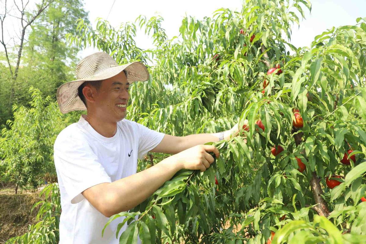 农村种植果农，想做电商，怎么搭建销售渠道？比如说平台什么之类的，水果种植业务员好做吗。 农村种植果农，想做电商，怎么搭建销售渠道？比如说平台什么之类的，水果种植业务员好做吗。 蔬菜种植