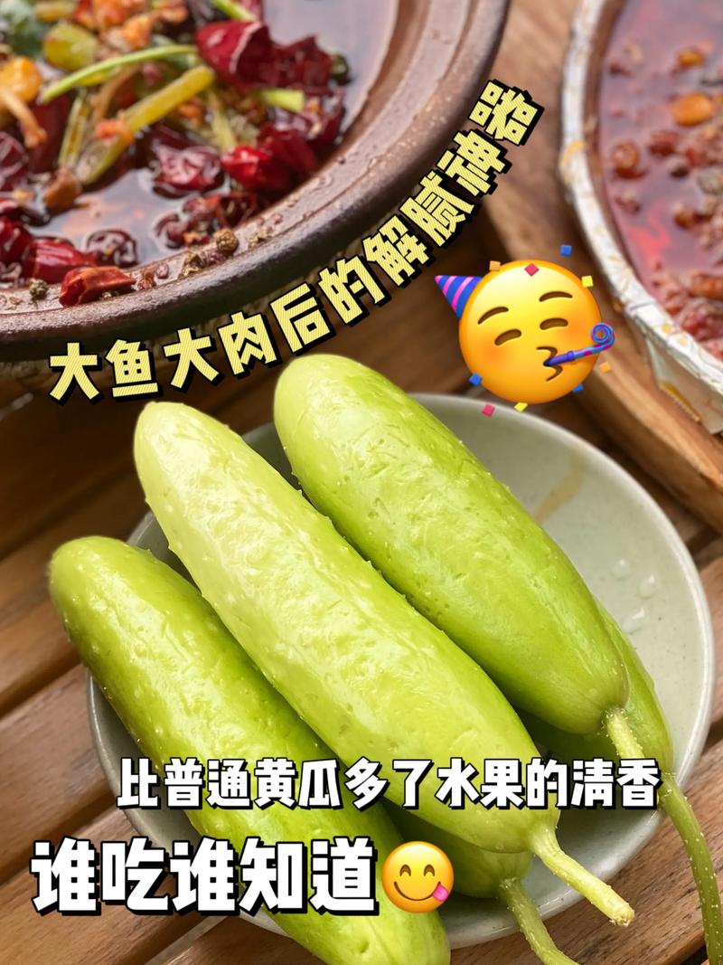  烙馍怎么做才好吃，水果黄瓜新密种植基地在哪里。  烙馍怎么做才好吃，水果黄瓜新密种植基地在哪里。 畜牧养殖