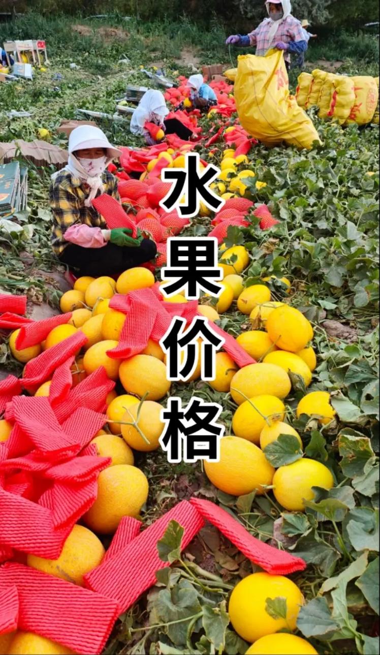 北京名果，北京种植水果园有补贴吗。 北京名果，北京种植水果园有补贴吗。 家禽养殖