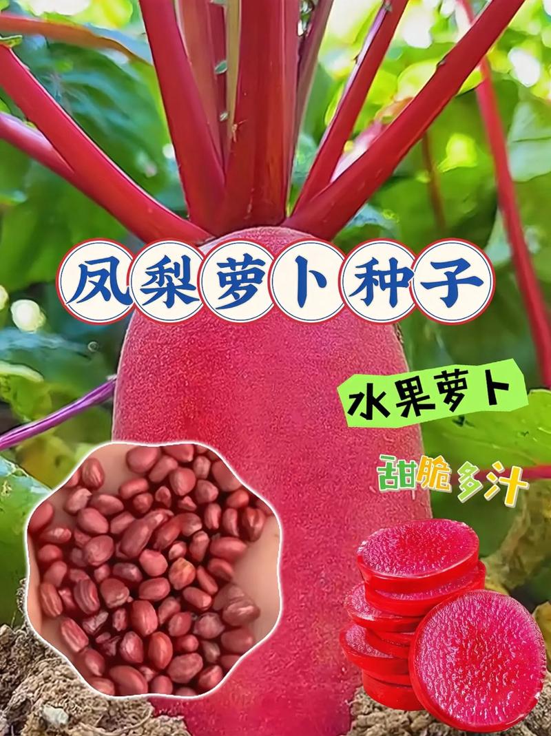 在农村种植水果怎么正规化，水果种植技术及建议怎么写。 在农村种植水果怎么正规化，水果种植技术及建议怎么写。 蔬菜种植