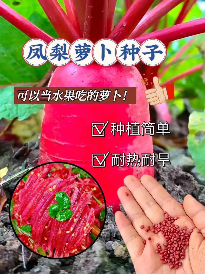 吃完的水果种子怎么种，用水果的种子种植水果树可以吗。 吃完的水果种子怎么种，用水果的种子种植水果树可以吗。 土壤施肥