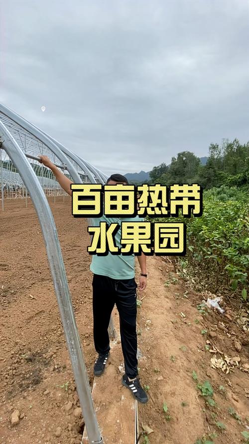 山东寿光有哪些水果，寿光南方水果种植基地在哪里。 山东寿光有哪些水果，寿光南方水果种植基地在哪里。 蔬菜种植