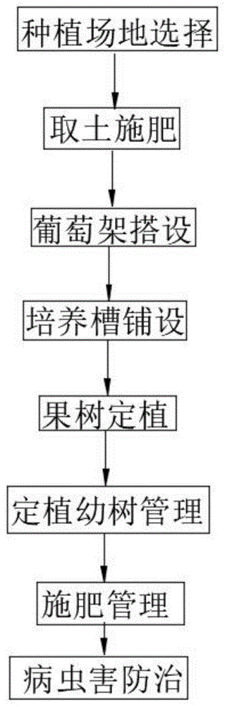 水果种植生产流程，自学种植水果的教学设计。 水果种植生产流程，自学种植水果的教学设计。 土壤施肥