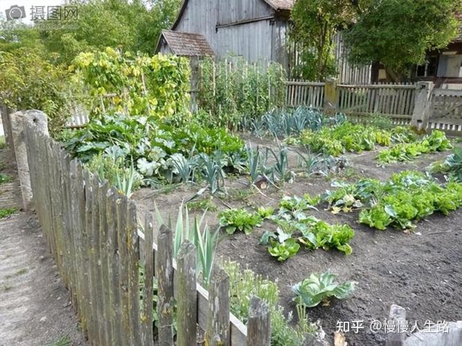 哪里有低成本开发的农村，无人居住的农村，可以种植蔬菜水果养殖业，居住环境还可以的？怎么样，有机蔬菜种植水果有哪些。 哪里有低成本开发的农村，无人居住的农村，可以种植蔬菜水果养殖业，居住环境还可以的？怎么样，有机蔬菜种植水果有哪些。 蔬菜种植