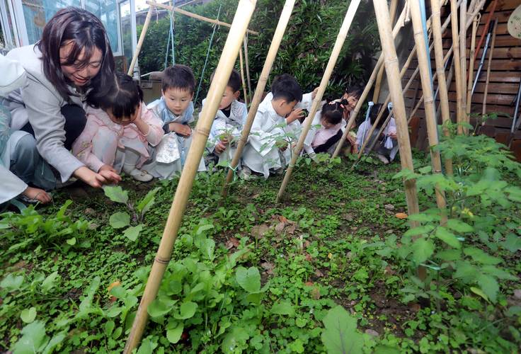 十亩地，种植什么作物能养活更多人，安国水果种植面积。 十亩地，种植什么作物能养活更多人，安国水果种植面积。 水果种植