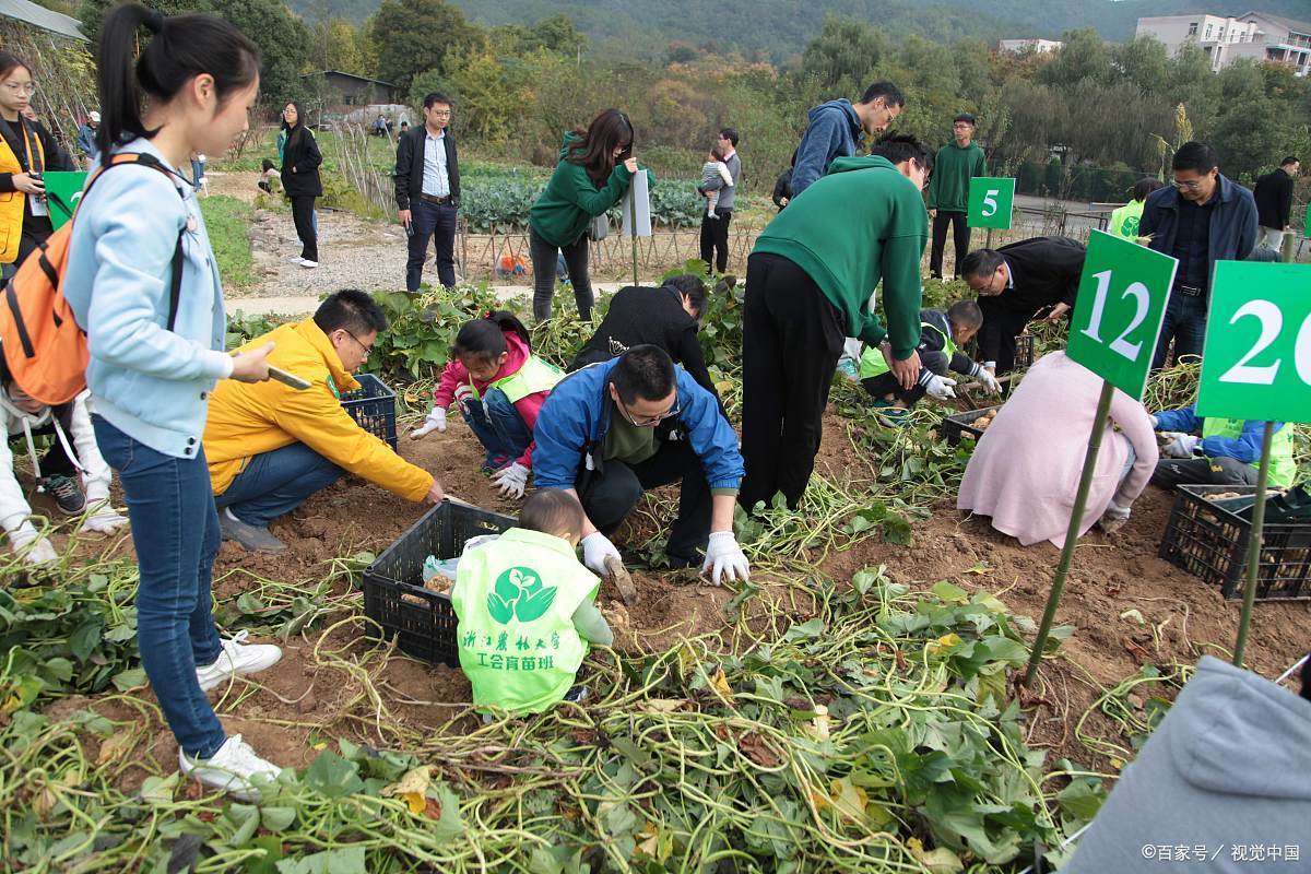 自己租地种植无公害蔬菜，供自己的生鲜果蔬超市可以吗，天然无公害水果种植技术。 自己租地种植无公害蔬菜，供自己的生鲜果蔬超市可以吗，天然无公害水果种植技术。 家禽养殖