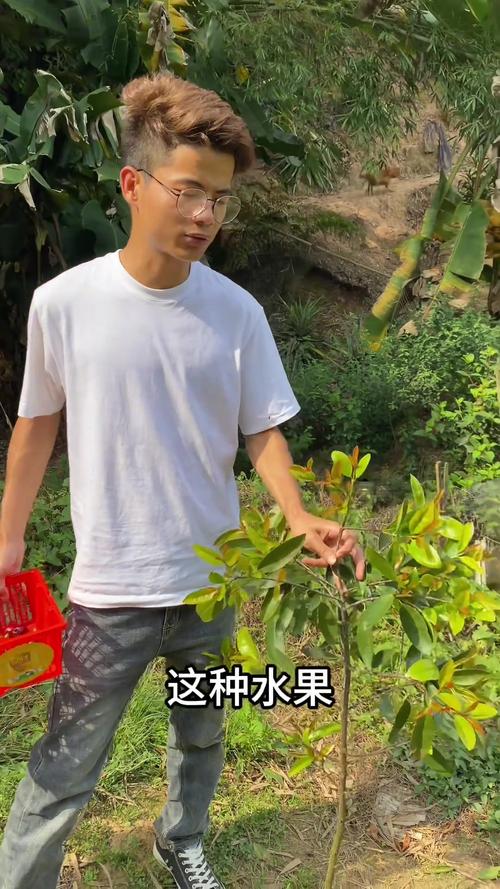 橘柚溪是什么意思，小溪边可以种植水果吗。 橘柚溪是什么意思，小溪边可以种植水果吗。 畜牧养殖