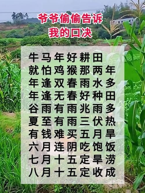 农村俗语“清明前后种瓜种豆”，现在适合种哪些瓜果种类呢，适应温棚种植的水果有哪些。 农村俗语“清明前后种瓜种豆”，现在适合种哪些瓜果种类呢，适应温棚种植的水果有哪些。 水果种植