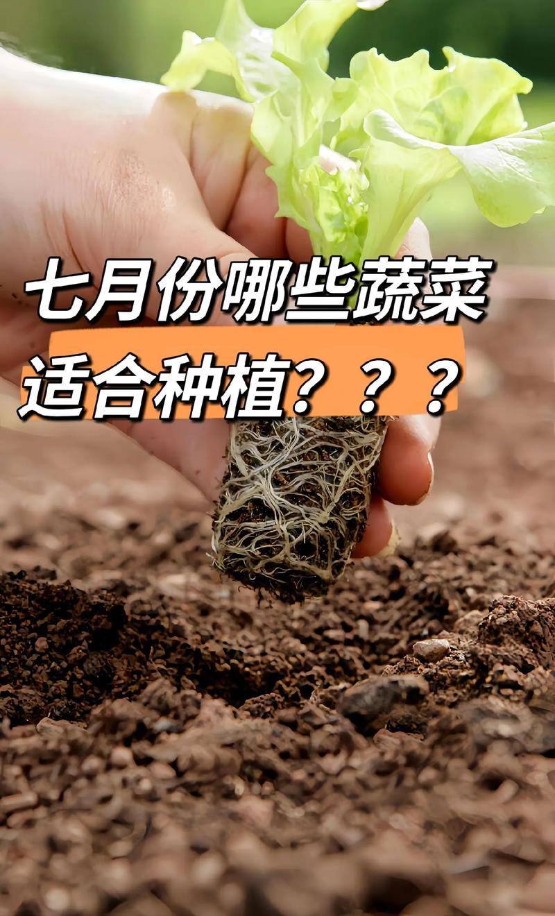 如何推广农村种植产品，优质水果种植推广方式有哪些。 如何推广农村种植产品，优质水果种植推广方式有哪些。 畜牧养殖