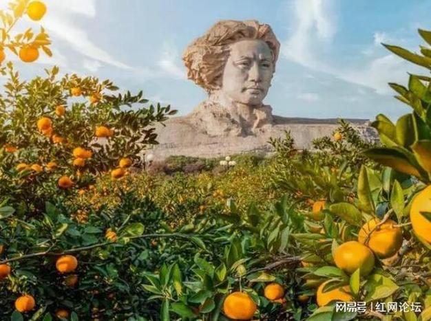 橘子洲的形成，长沙水果白梨种植基地在哪里。 橘子洲的形成，长沙水果白梨种植基地在哪里。 家禽养殖