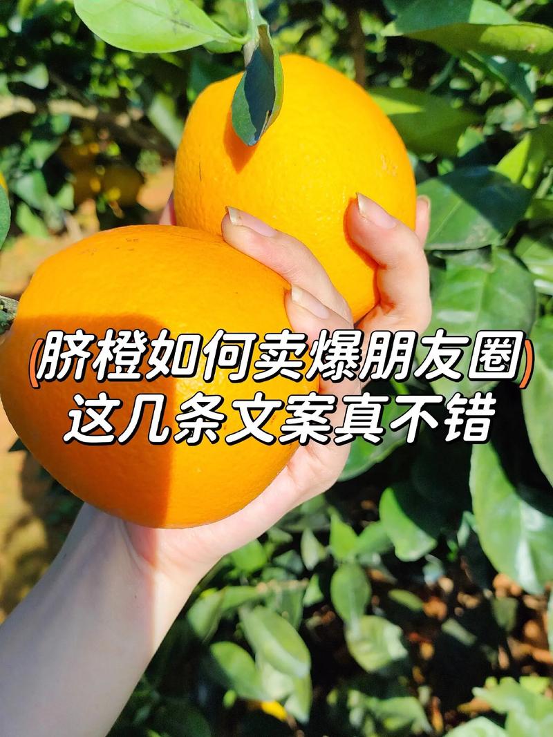 在朋友圈卖水果可以吗，种植水果的人怎么称呼。 在朋友圈卖水果可以吗，种植水果的人怎么称呼。 家禽养殖